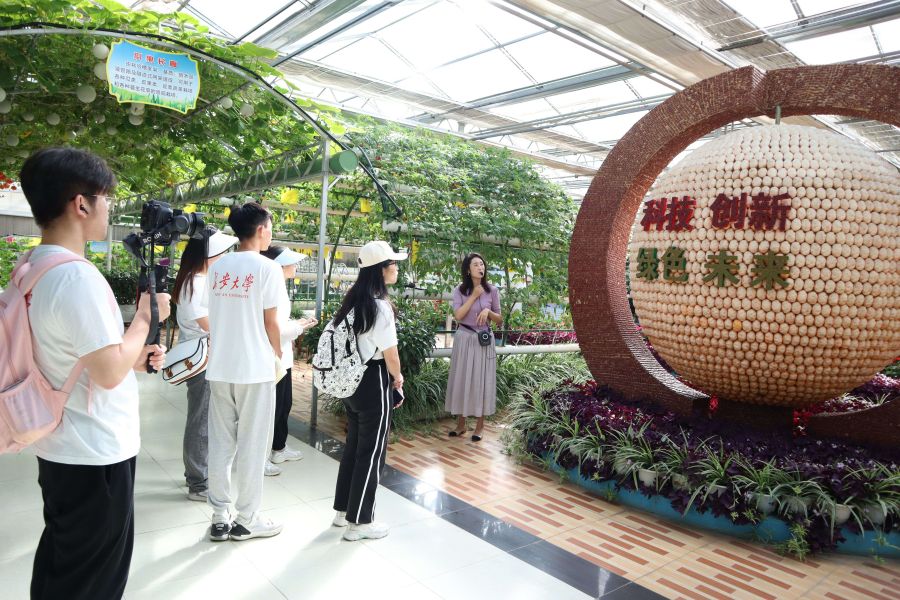 L(zhng)W(xu)(sh)`(du)wԭr(nng)I(y)Ƽl(xing)d֮·