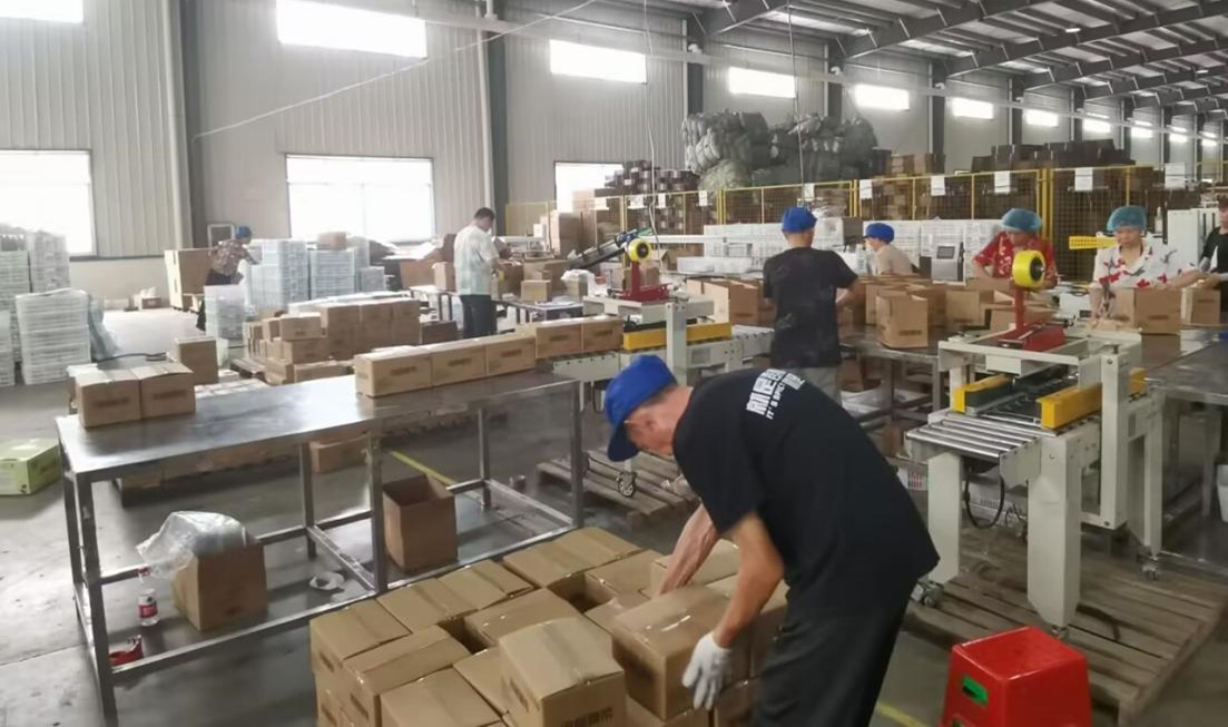 hWWԺGˮɏ~ǧf̌`̽LAFʳƷF