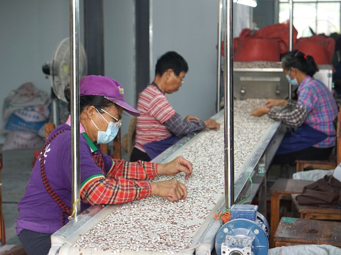 ഺ` ؑcWԺͻ꠆T̽laIdܴa