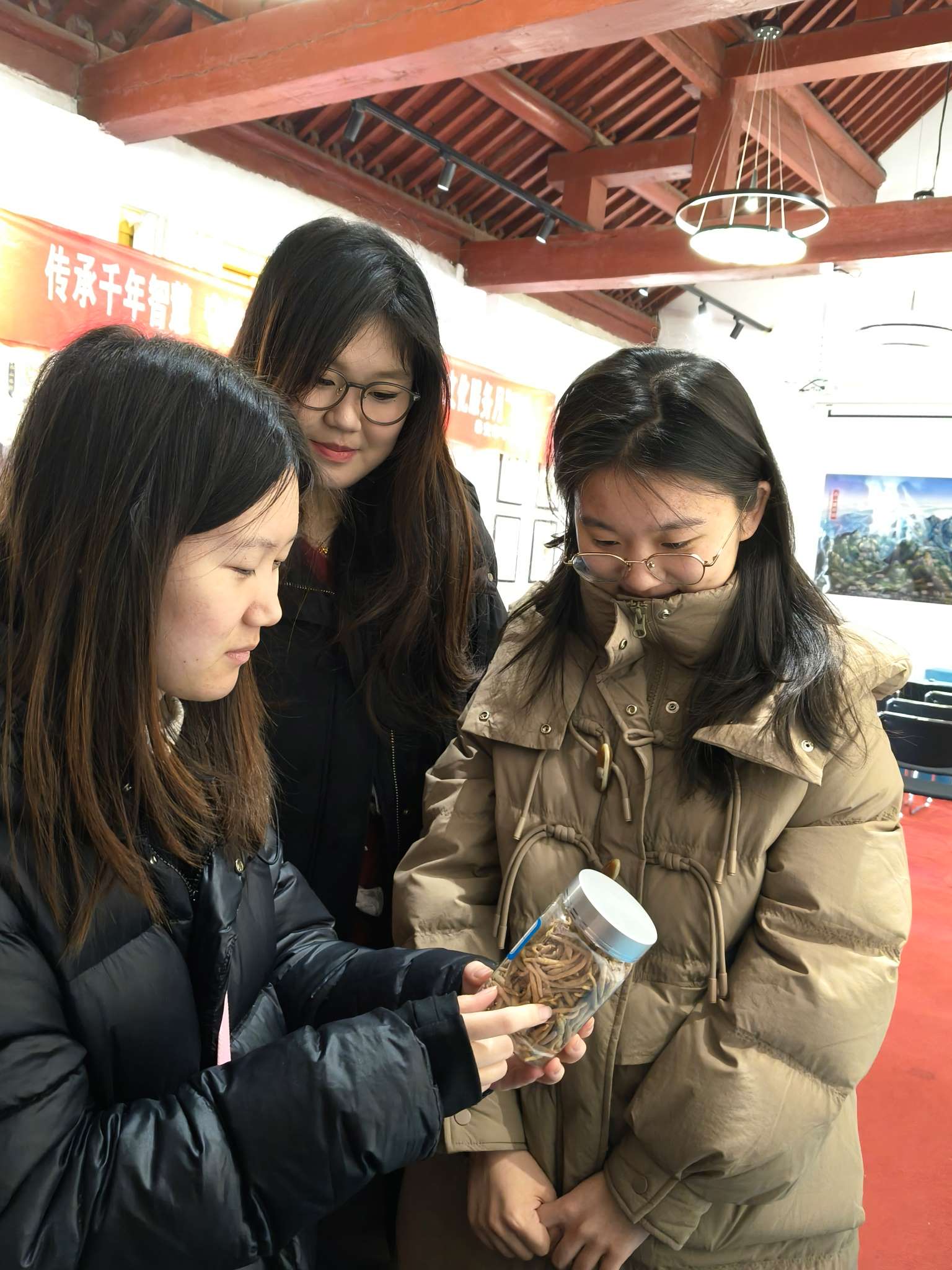 ɽ|tˎWഺС֌WӻlR̽tˎld֮·