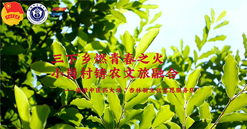 l(xing)ȼഺ֮СTr(nng)ں