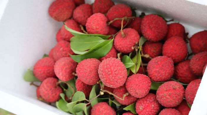 ǧf(wn)R^۽V|ؔ(ci)(jng)W(xu)(sh)`F(tun)ý