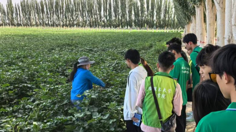 l(xing)|l(xing)d߻ӣഺ(dng)r(sh)F(tun)(du)_չ(sh)`(dng)&#65279;