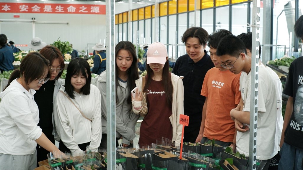 AƌWӸۘ򞳸ldRƼӖ_չ{л