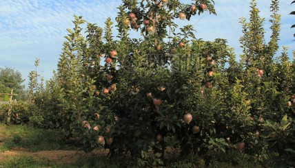 غøؼtֹa(chn)I(y)l(f)չ