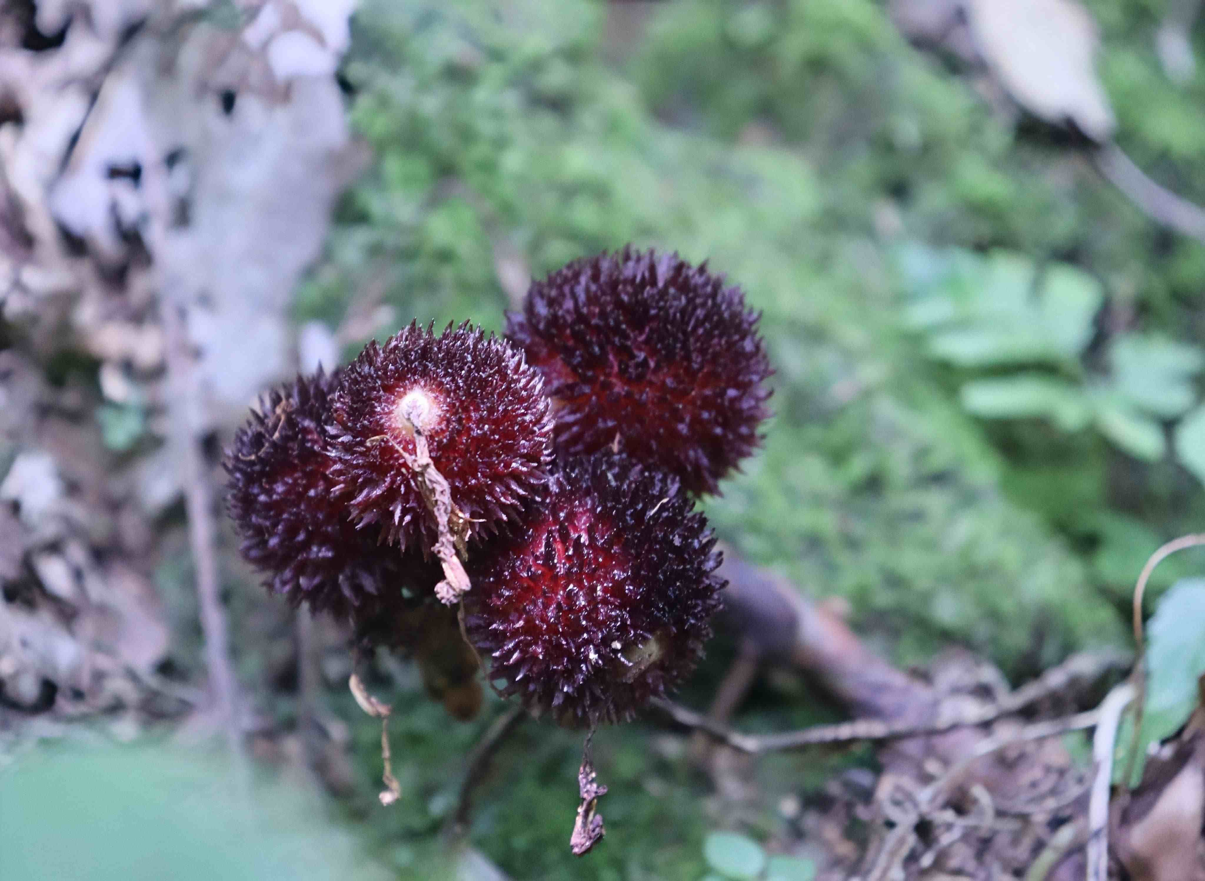 V̌WԺG־Ը꠸VhҡXϽ