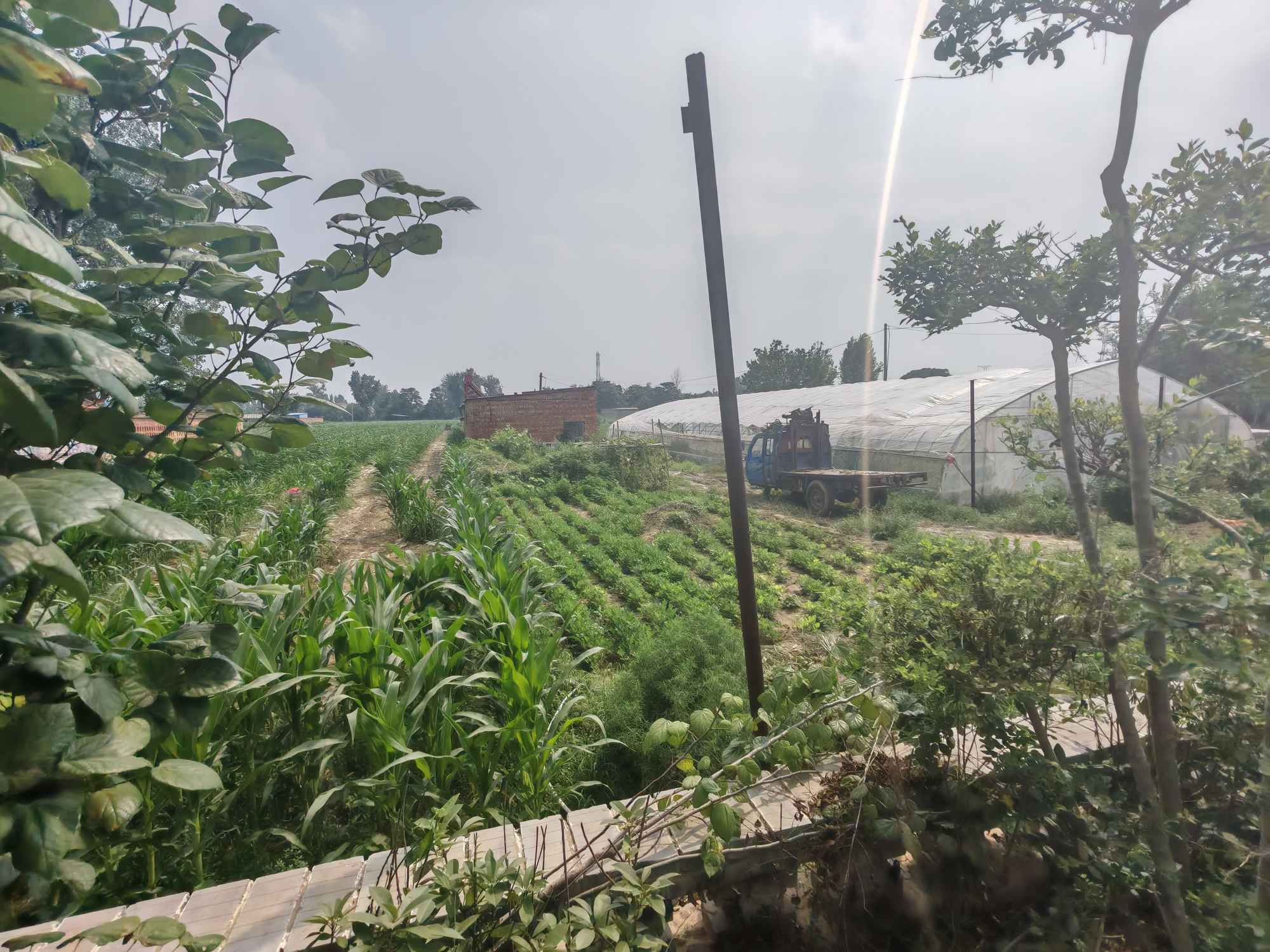 hl(xing)d֮У־Ըʷ̡ɹһˡa(chn)I(y)l(f)չ