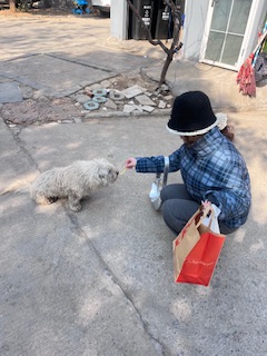 ϾW(xu)̩݌W(xu)Ժg(sh)W(xu)Ժɫʣ׌(i)ˡP(gun)(i)˄(dng)(hu)(sh)`