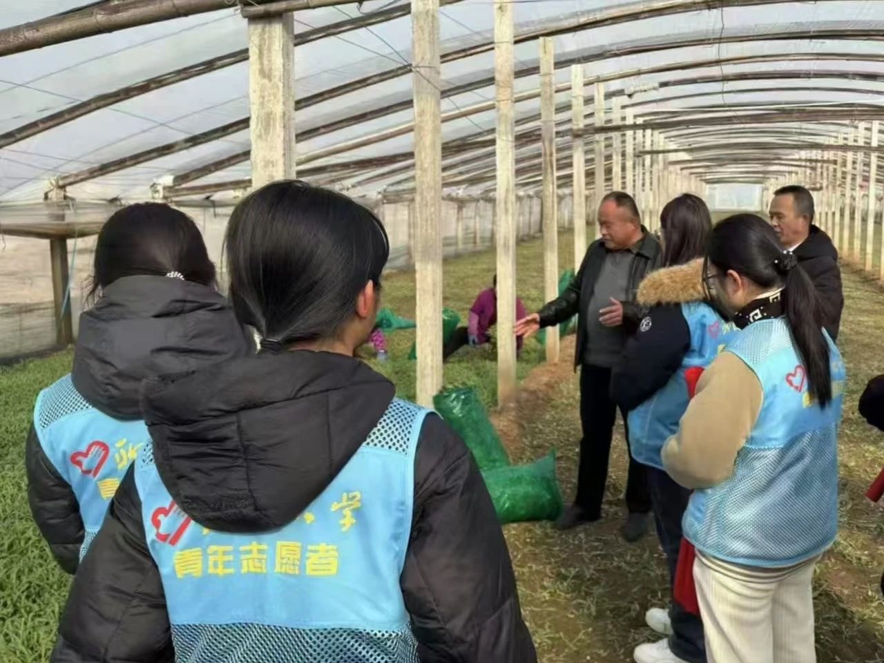 ĳǴWWWԺůs־ԸekҰ˷Nֲ㣺iȻеľGɫءlˡ