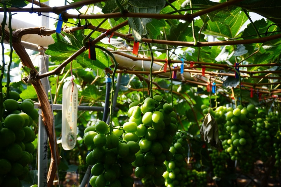 ഺxһУl(xing)d(mng)