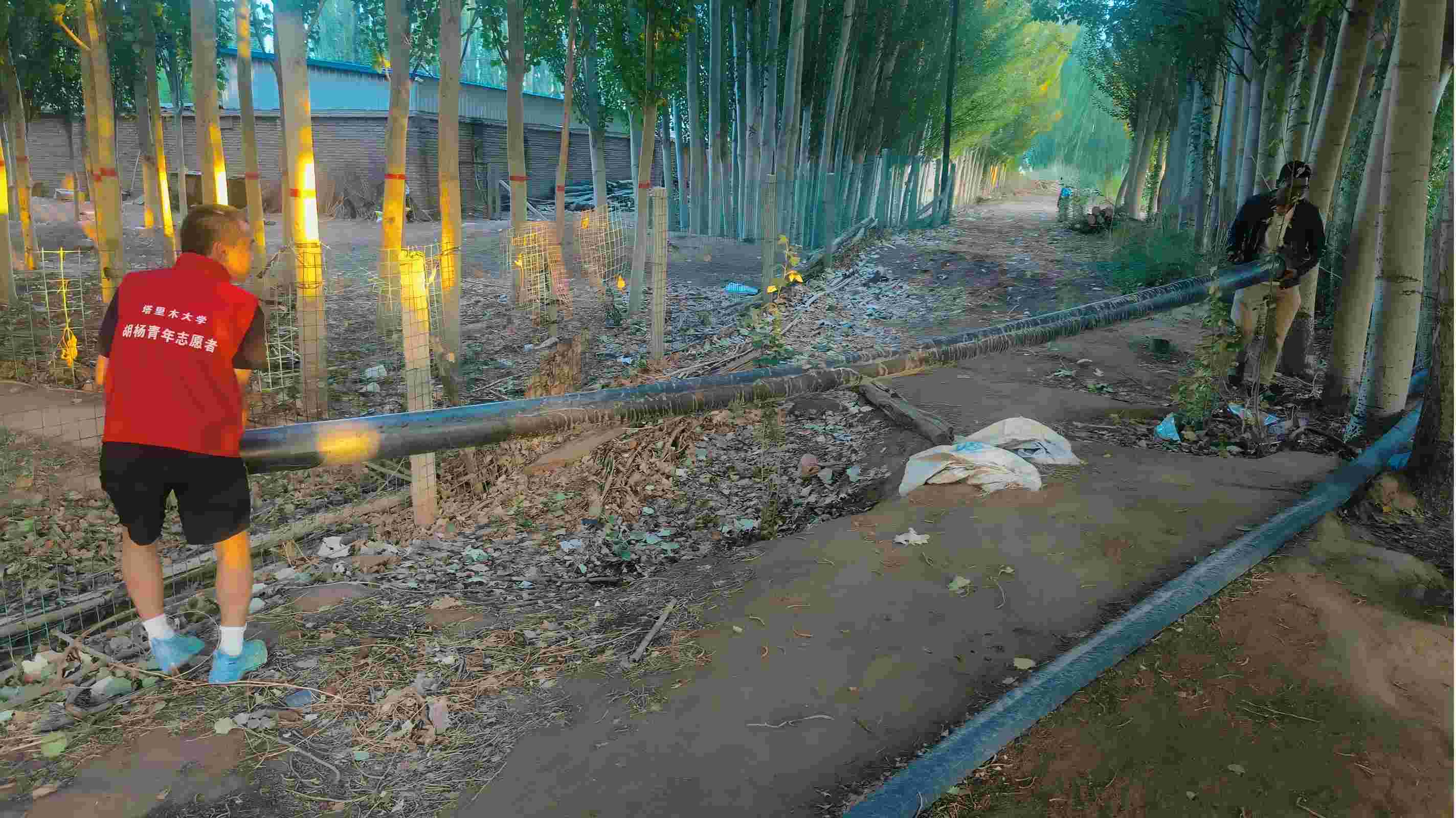 cСi@ιB(yng)