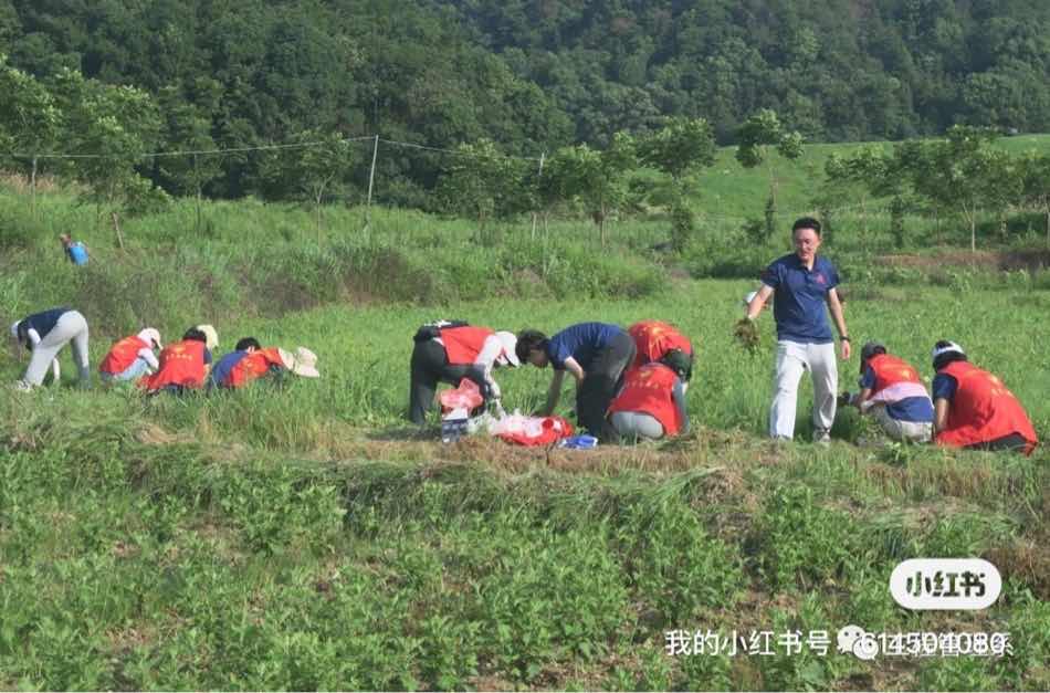 x(w)չL(fng) l(xing)dO(sh)