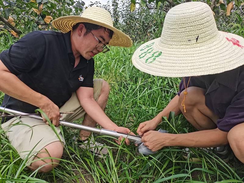 Ƽ֮Ժ֮DB(yng)r(nng)I(y)֮