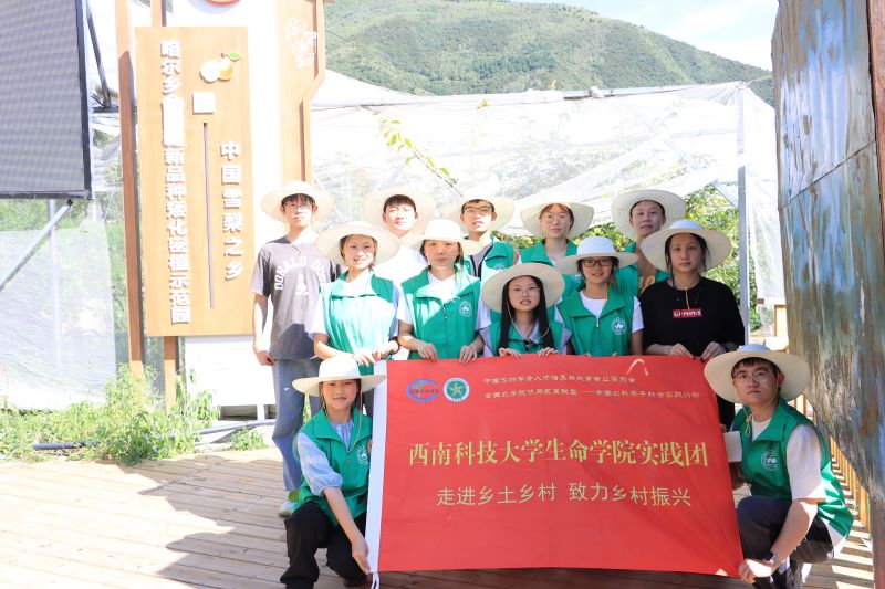 ѩý¸оƬϿƼWƼl(xing)d`F`