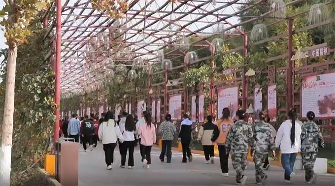 ڕһ(chng)һ(chng)ɽ