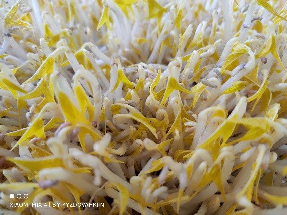 fRlѿȣGˮɽʳWWʳЌW`֮ѿʳƷȫcIBЇ