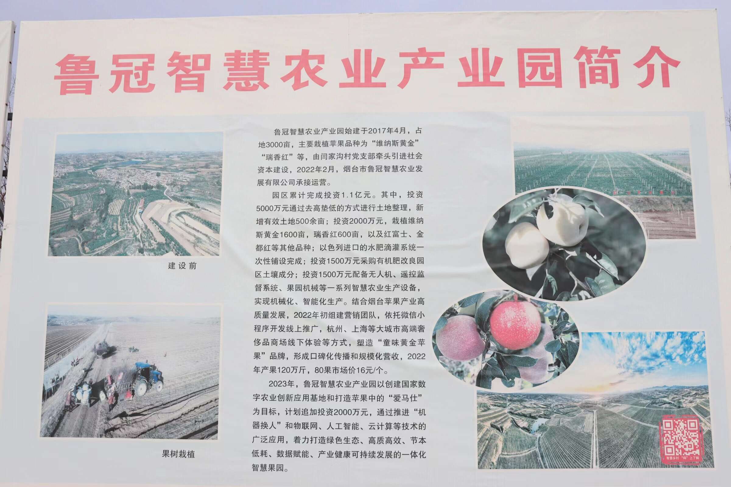 SȔ(sh)ֻϢO(sh)(q)(dng)l(xing)g