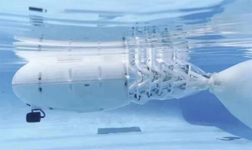 FݴWڵʮȫWCеOӋِϲ@ѿ