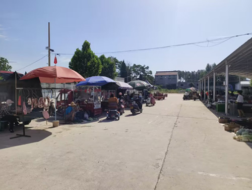 W(xu)ۡ(sh)`F(tun)(du)711ոl(xing)_չ{(dio)л(dng)