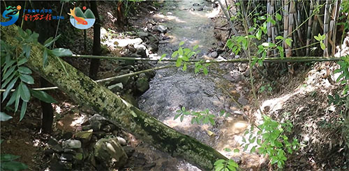 AώW(xu)нl(xing)(sh)`F(tun)ҴɽȪ~ƷƏV