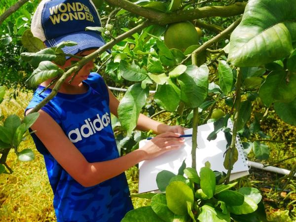 nͯģʢΞ AώWʢΞx`_չϵn