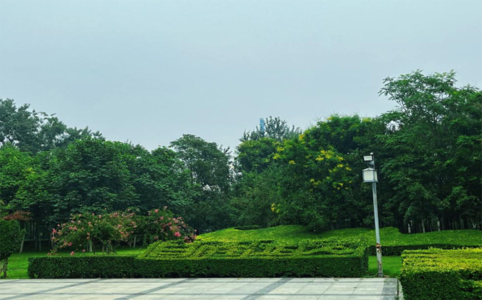 ƵZ^M Gˮɽ NEFUGˮɽС̽l(xing)֮