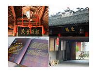 㽭IgWԺ`С꠵һվ̽Ѫ{Ļz