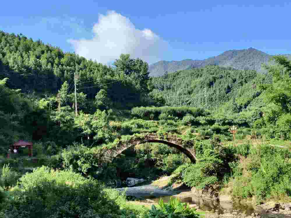 V|Wɽld֧ { աM@Lɡ