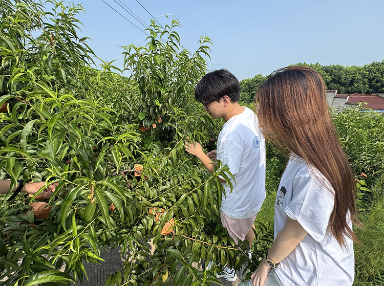 ɵ̽dKݳЌWԺƶҰ`F̽ldlչģʽ