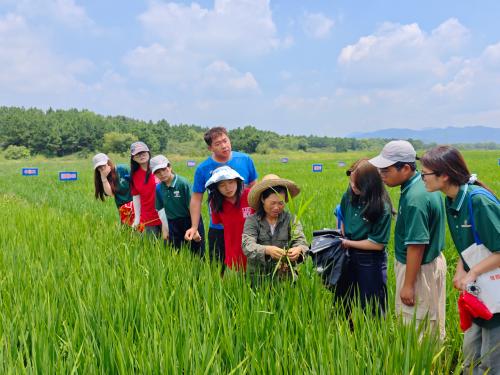 r(nng)I(y)W(xu)ǻš(sh)`(du)ֲr(nng)Ļ˼