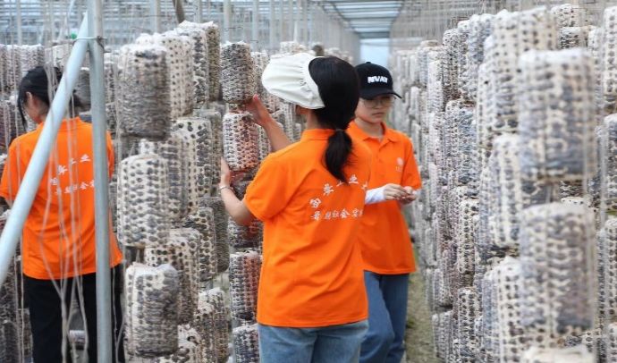 ֪Rڌ`FYw򞡪״ľ༰ժ