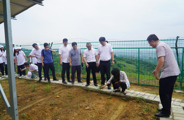 BȣGɫlչ lչɾ^F^̫С͹