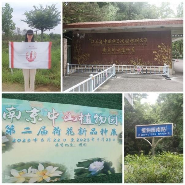 tˎ̽匚Ⱥ\н`FپнС̽KʡЇƌWԺֲоϾɽֲ@@̩Їtˎвˎֲ@