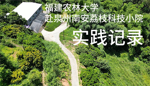 ഺx܈AGɫҰ(mng)Ƽdr(nng)L(sh)`ƪ