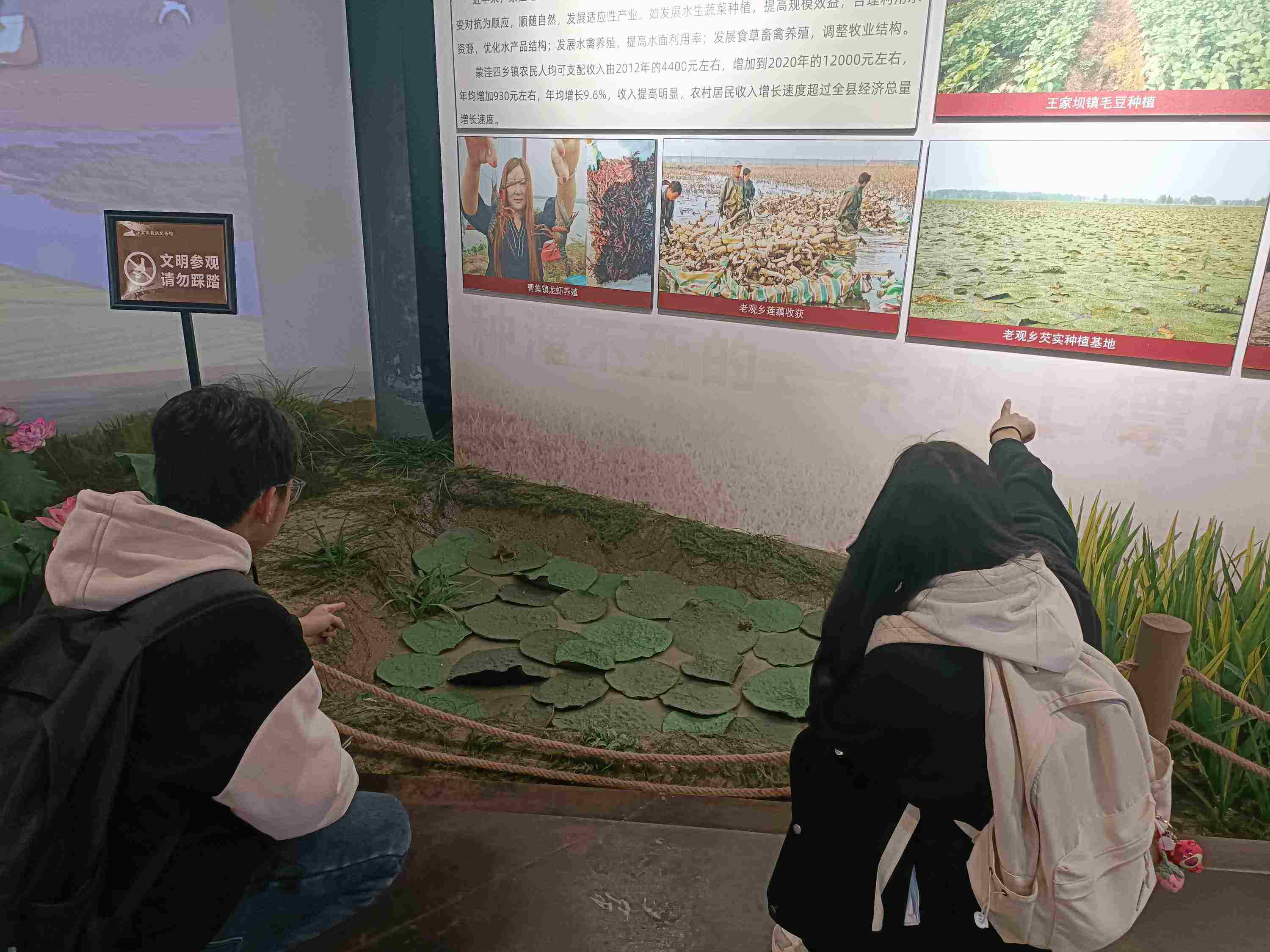 ldԱ¶ԪaIںϰlչĬF·̽ԸиϿh