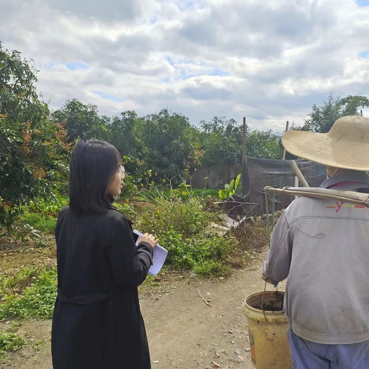 R˼xWԺâ·ֹF꠸Vɫ|h_չ`{л