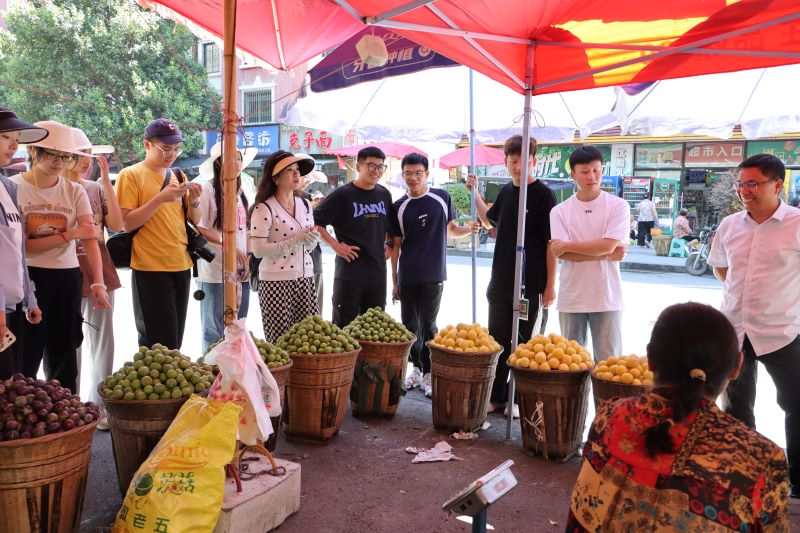 pأ롱{-ϿƼWƼld`F`