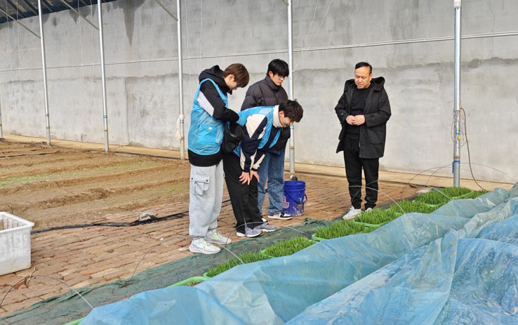 ĳǴWˎWԺeks ⰻȻ`