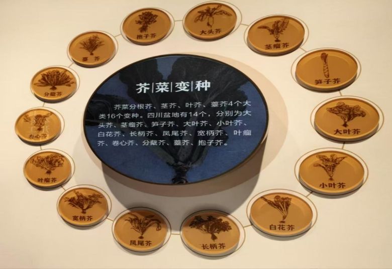 ؑcĿƼW(xu)Ժ̽rF(tun)(du)̽ظե˲^ aa(chn)I(y)ĿƼں֮