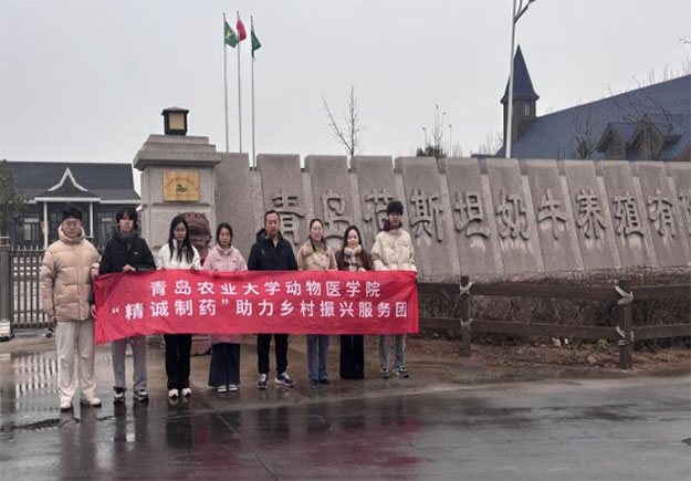 ƼdrTʯIdIഺurIWtWԺtoԴ Id`ՈF¿ƼIţaI|Ч