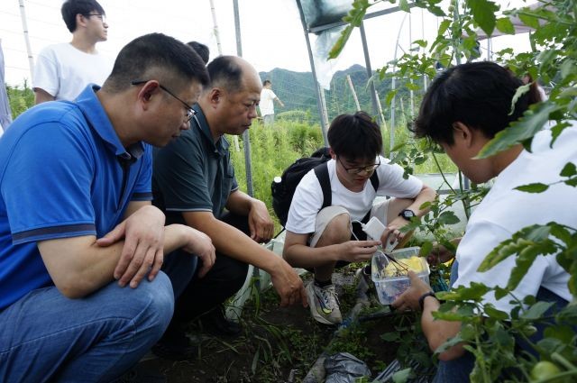 늣ڼҾ܌F(xin)r(nng)