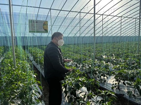 ƄӾGɫȫaIγ l彛|lչ