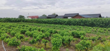 ƕԶ_`FɆTLNֲI̽LldĬFǰ