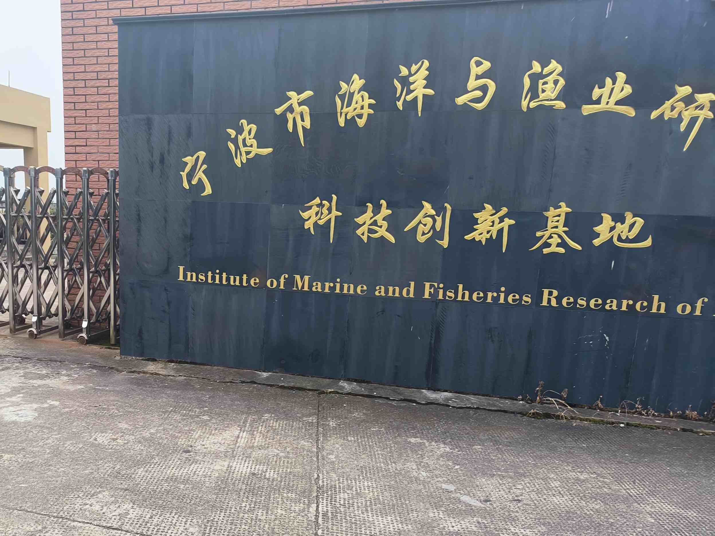 dݞsɽݞB(yng)ֳƪLl(xing)d{D