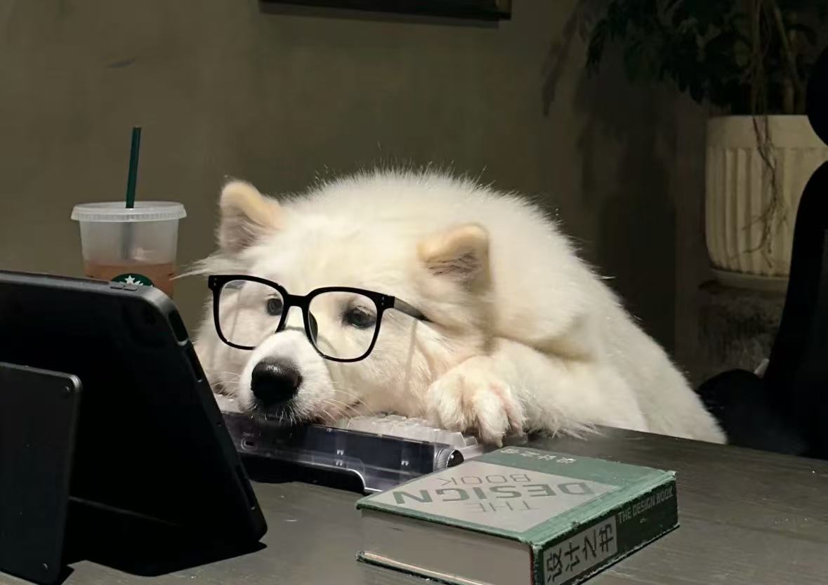 ԉR֧L Ϻ֧cPQLֈF֧̻