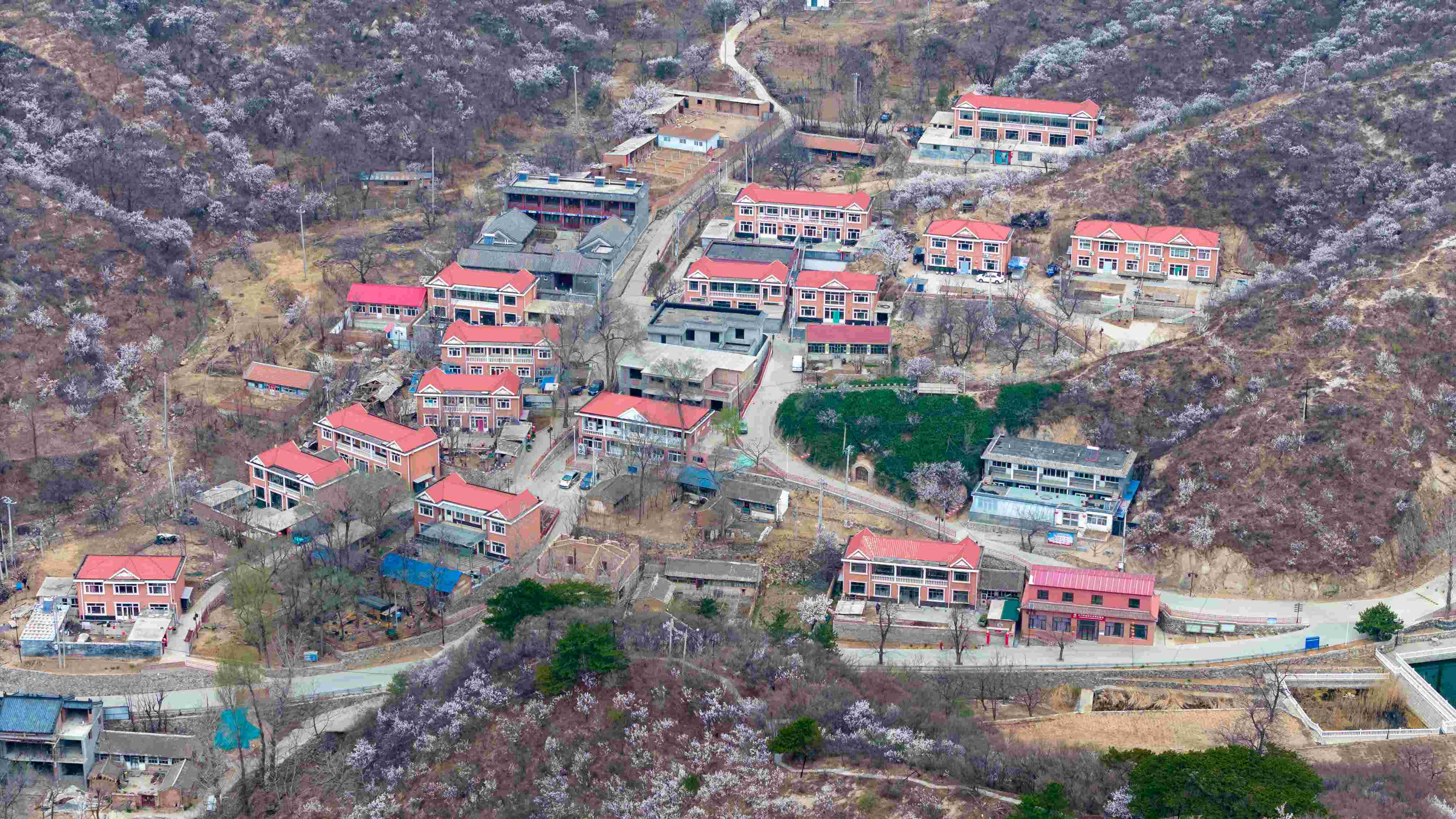 ʯн㡱FꠣݮaIdl壬Ļclչ