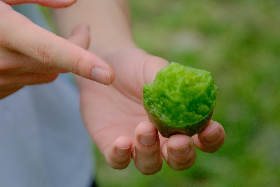 ɽ|W(xu)Сࡱ(sh)`F(tun)^ԴȪ(zhn)Jǻۈ@^(q)