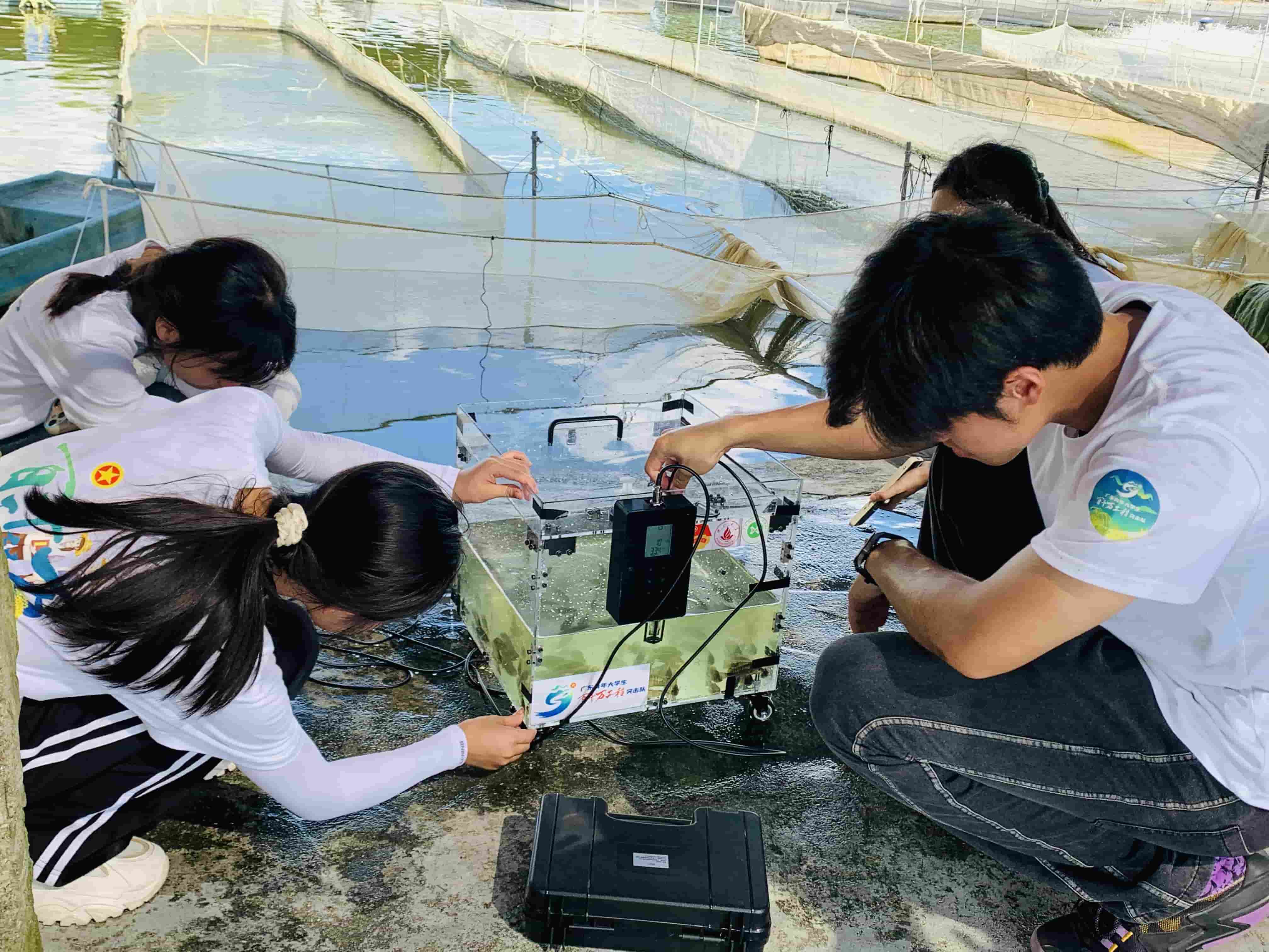 Ƽxl(xing)dǻ۱O(jin)OI(lng)OI(y)³