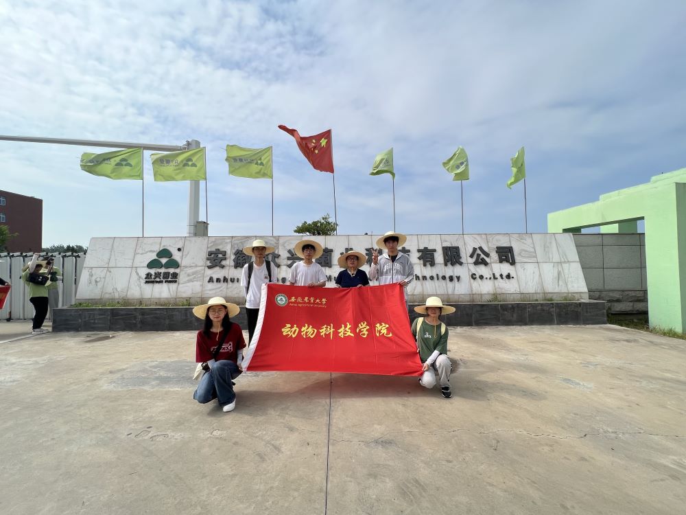 dr(nng)dc(din)l(xing)d