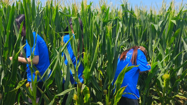 ƌW(xu)čW(xu)Ժ(sh)`F(tun)g(sh){(dio)L(zhng)(sh)